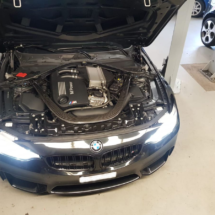 82007364_879731502429869_154343051395858432_n